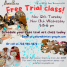 Free Trial class!